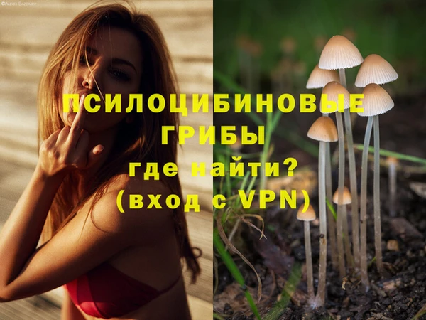 метадон Арсеньев