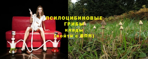 мдпв Армянск